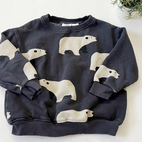 Zara Toddler Boys Crew Neck Polar Bear Sweatshirt in Gray - Picture 1 of 4